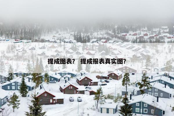 提成图表？ 提成报表真实图？