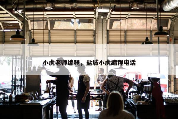 小虎老师编程，盐城小虎编程电话