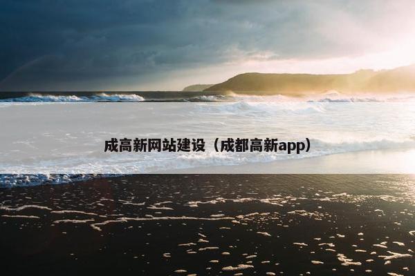 成高新网站建设（成都高新app）