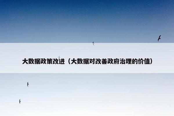 大数据政策改进（大数据对改善政府治理的价值）