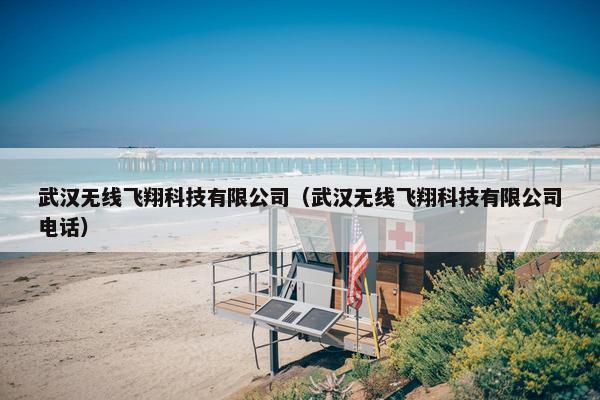 武汉无线飞翔科技有限公司（武汉无线飞翔科技有限公司电话）