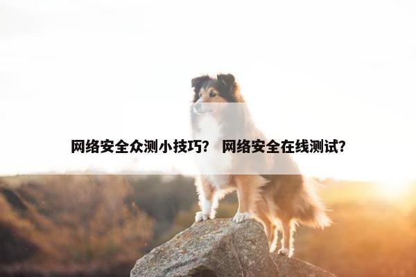 网络安全众测小技巧？ 网络安全在线测试？