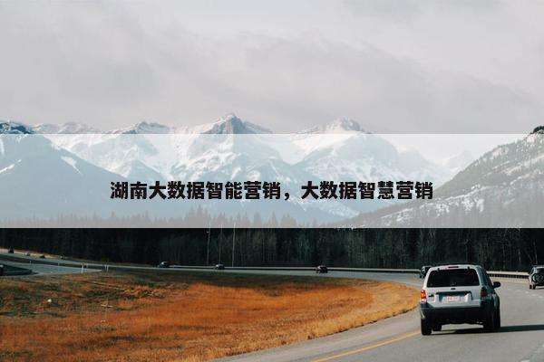 湖南大数据智能营销，大数据智慧营销