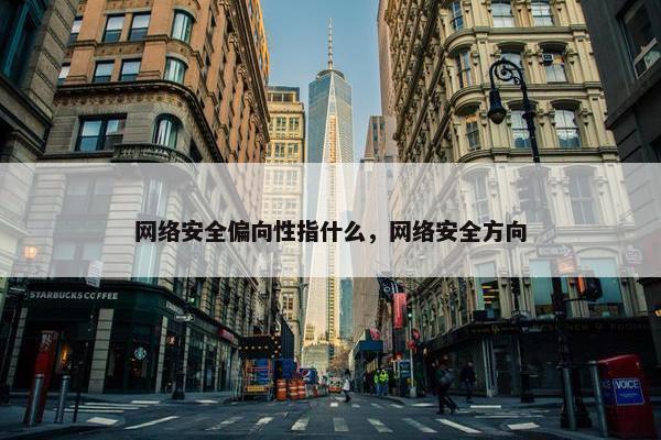 网络安全偏向性指什么，网络安全方向
