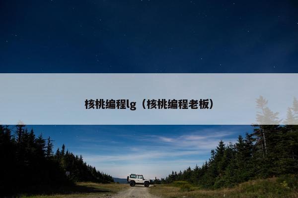 核桃编程lg（核桃编程老板）