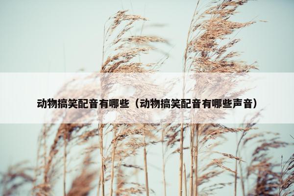 动物搞笑配音有哪些（动物搞笑配音有哪些声音）