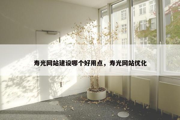 寿光网站建设哪个好用点，寿光网站优化