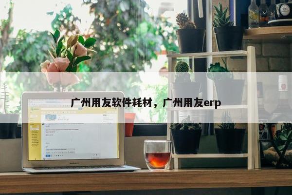 广州用友软件耗材，广州用友erp