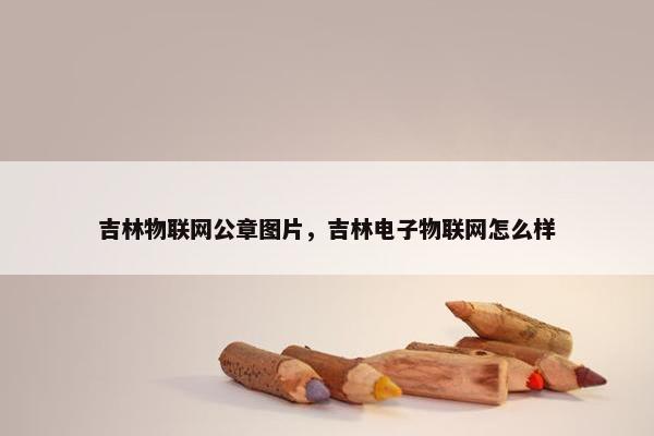 吉林物联网公章图片，吉林电子物联网怎么样