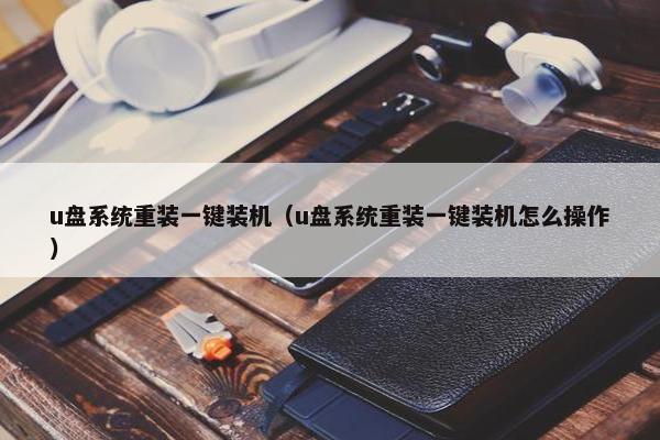 u盘系统重装一键装机（u盘系统重装一键装机怎么操作）