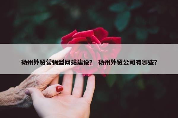扬州外贸营销型网站建设？ 扬州外贸公司有哪些？