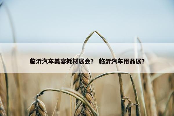 临沂汽车美容耗材展会？ 临沂汽车用品展？