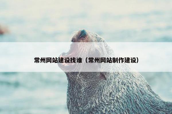 常州网站建设找谁（常州网站制作建设）