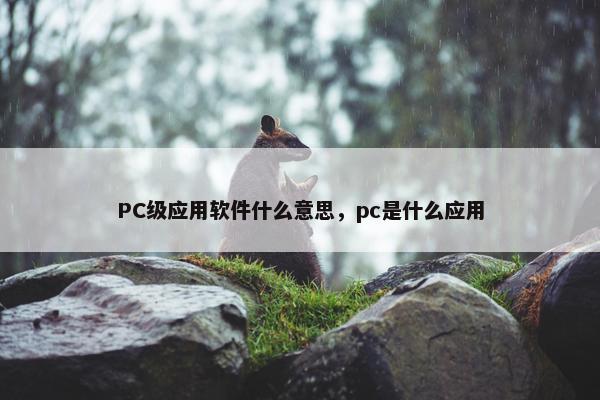 PC级应用软件什么意思，pc是什么应用