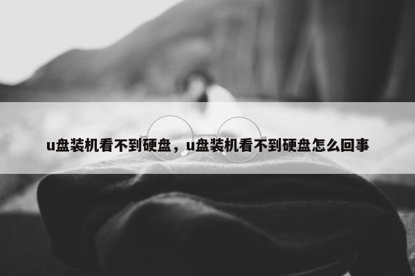 u盘装机看不到硬盘，u盘装机看不到硬盘怎么回事