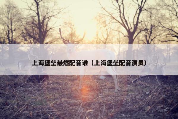 上海堡垒最燃配音谁（上海堡垒配音演员）