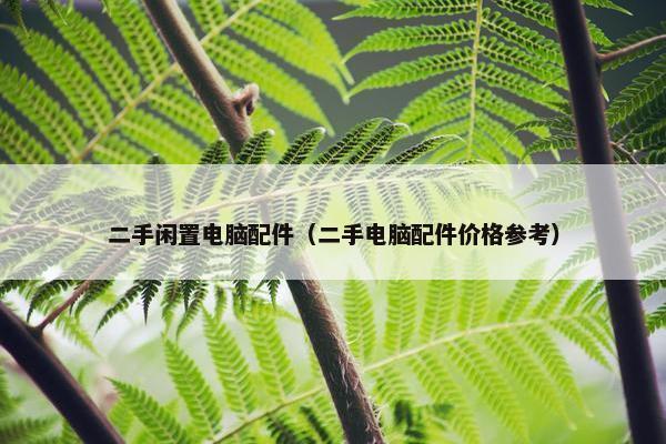 二手闲置电脑配件（二手电脑配件价格参考）