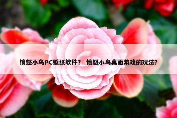 愤怒小鸟PC壁纸软件？ 愤怒小鸟桌面游戏的玩法？