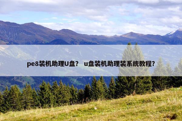 pe8装机助理U盘？ u盘装机助理装系统教程？