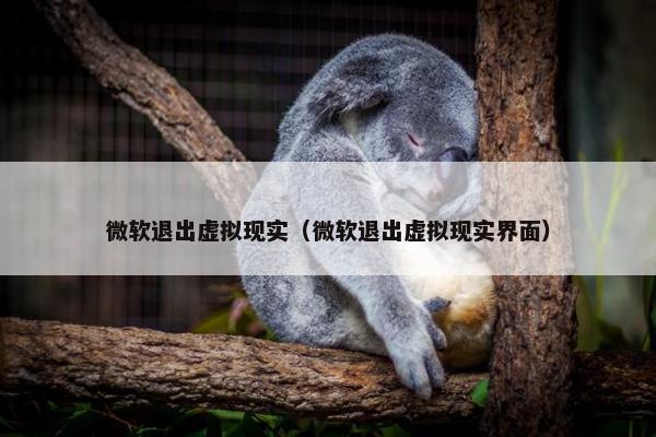 微软退出虚拟现实（微软退出虚拟现实界面）