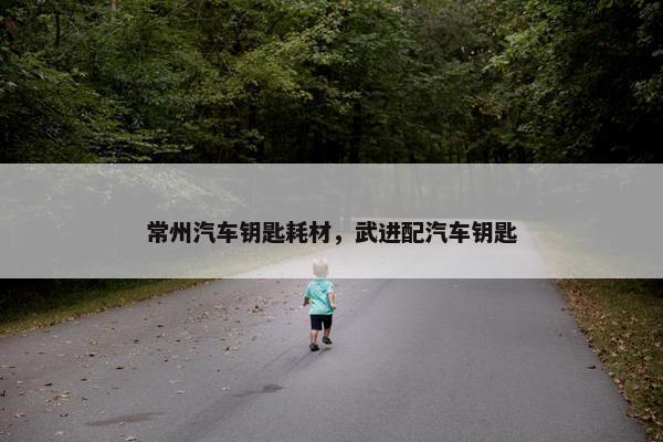 常州汽车钥匙耗材，武进配汽车钥匙