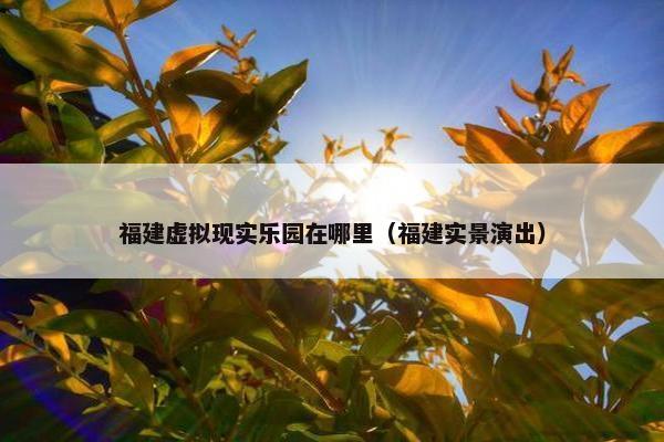 福建虚拟现实乐园在哪里（福建实景演出）