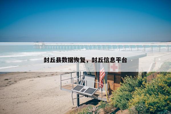 封丘县数据恢复，封丘信息平台