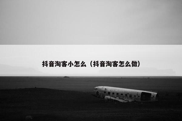 抖音淘客小怎么（抖音淘客怎么做）