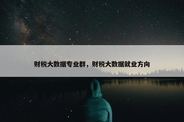 财税大数据专业群，财税大数据就业方向