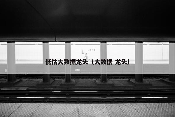 低估大数据龙头（大数据 龙头）