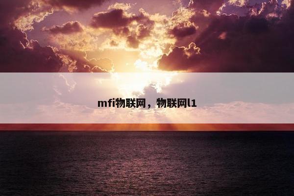 mfi物联网，物联网l1