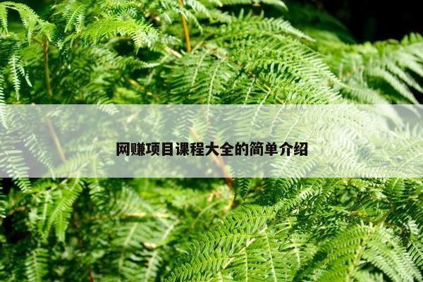 网赚项目课程大全的简单介绍