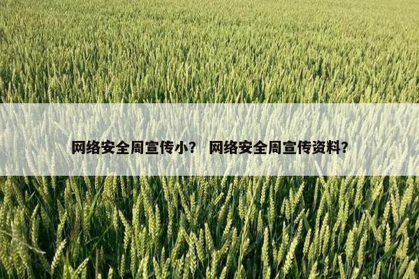 网络安全周宣传小？ 网络安全周宣传资料？
