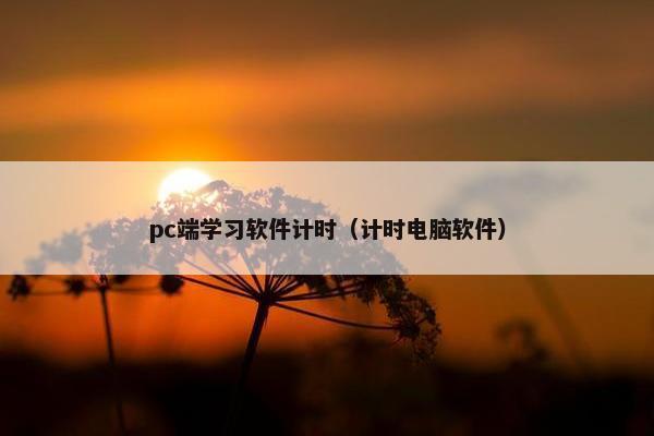 pc端学习软件计时（计时电脑软件）