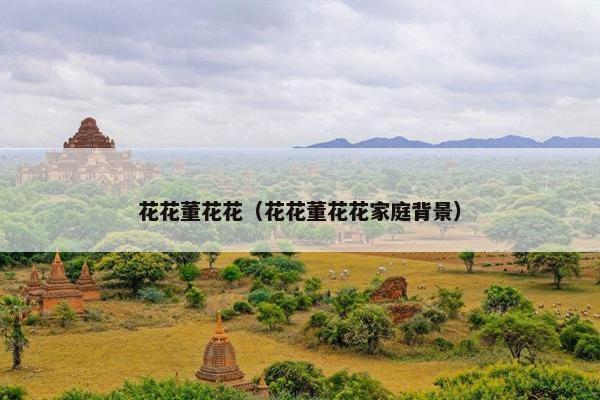 花花董花花（花花董花花家庭背景）