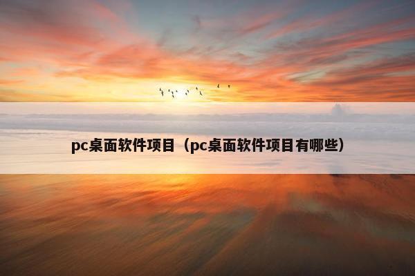 pc桌面软件项目（pc桌面软件项目有哪些）