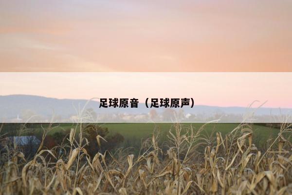 足球原音（足球原声）