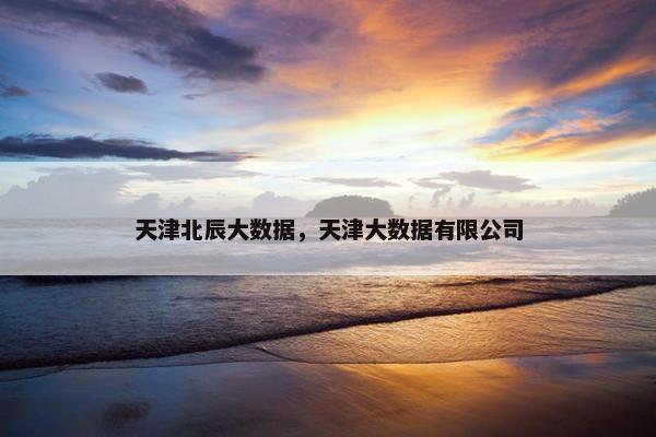 天津北辰大数据，天津大数据有限公司