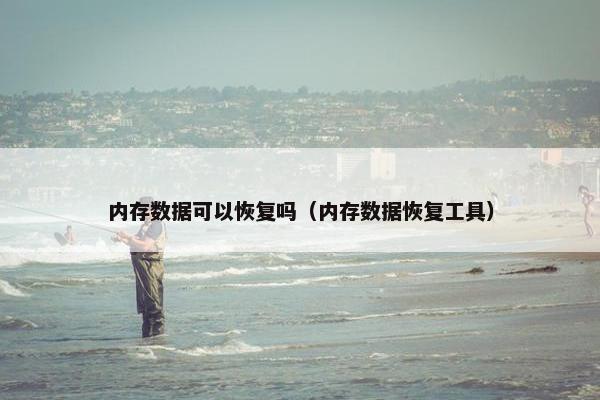 内存数据可以恢复吗（内存数据恢复工具）