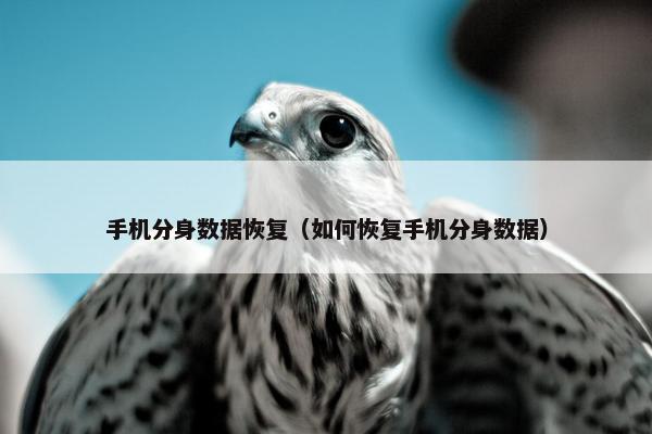 手机分身数据恢复（如何恢复手机分身数据）