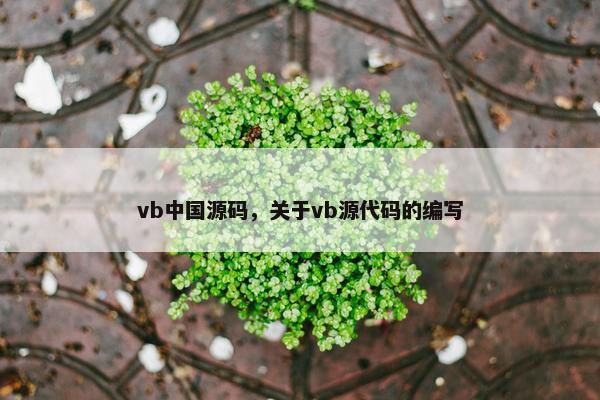 vb中国源码，关于vb源代码的编写
