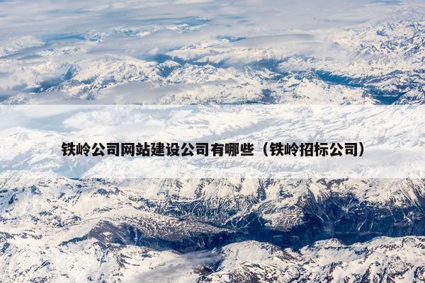 铁岭公司网站建设公司有哪些（铁岭招标公司）