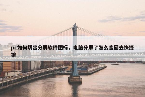 pc如何切出分屏软件图标，电脑分屏了怎么变回去快捷键