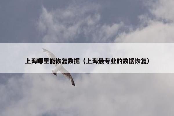 上海哪里能恢复数据（上海最专业的数据恢复）