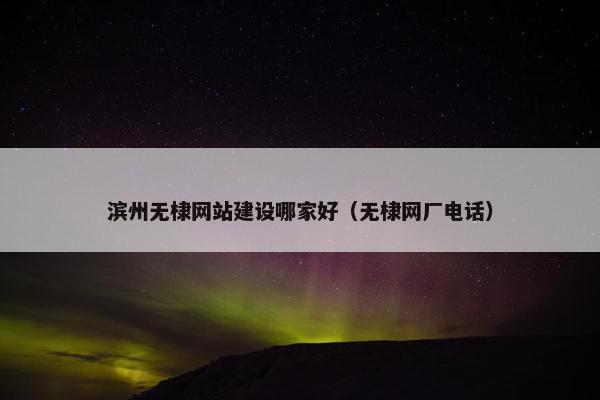 滨州无棣网站建设哪家好（无棣网厂电话）