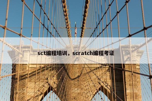 sct编程培训，scratch编程考证