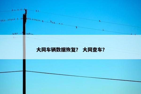 大同车辆数据恢复？ 大同查车？