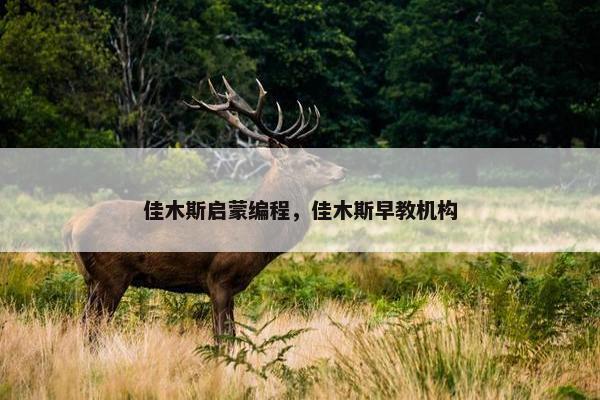 佳木斯启蒙编程，佳木斯早教机构