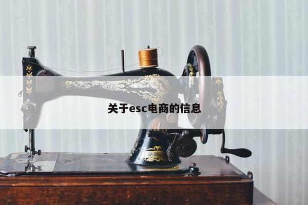 关于esc电商的信息