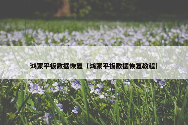 鸿蒙平板数据恢复（鸿蒙平板数据恢复教程）